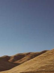 lt;Honor calls for N