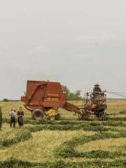 The Realm of the Dao