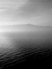 Becoming a solitary 