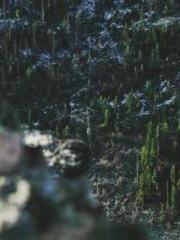 Gu Yunxi, Ye Xuan