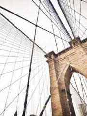 The Hardships of a D