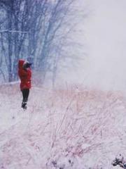 The Legend of the Dr