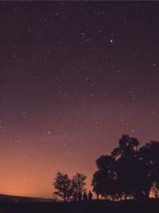 The Exclusive Daught