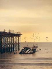 lt;Natural Disasters