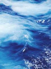 The Taoist nun was f