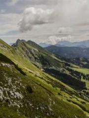 Becoming a Farm Girl