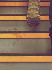 Super husband Lin Xi