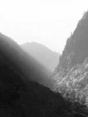 Transmigration: Feel