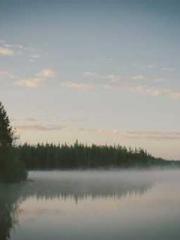 Cold-hearted Inkapos