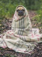 Rong Zhao, male, Nin