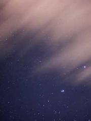 lt;lt;The Trash Husb