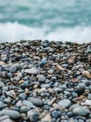 The Stand-in Wife Wa