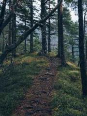 Crossing the Great Q